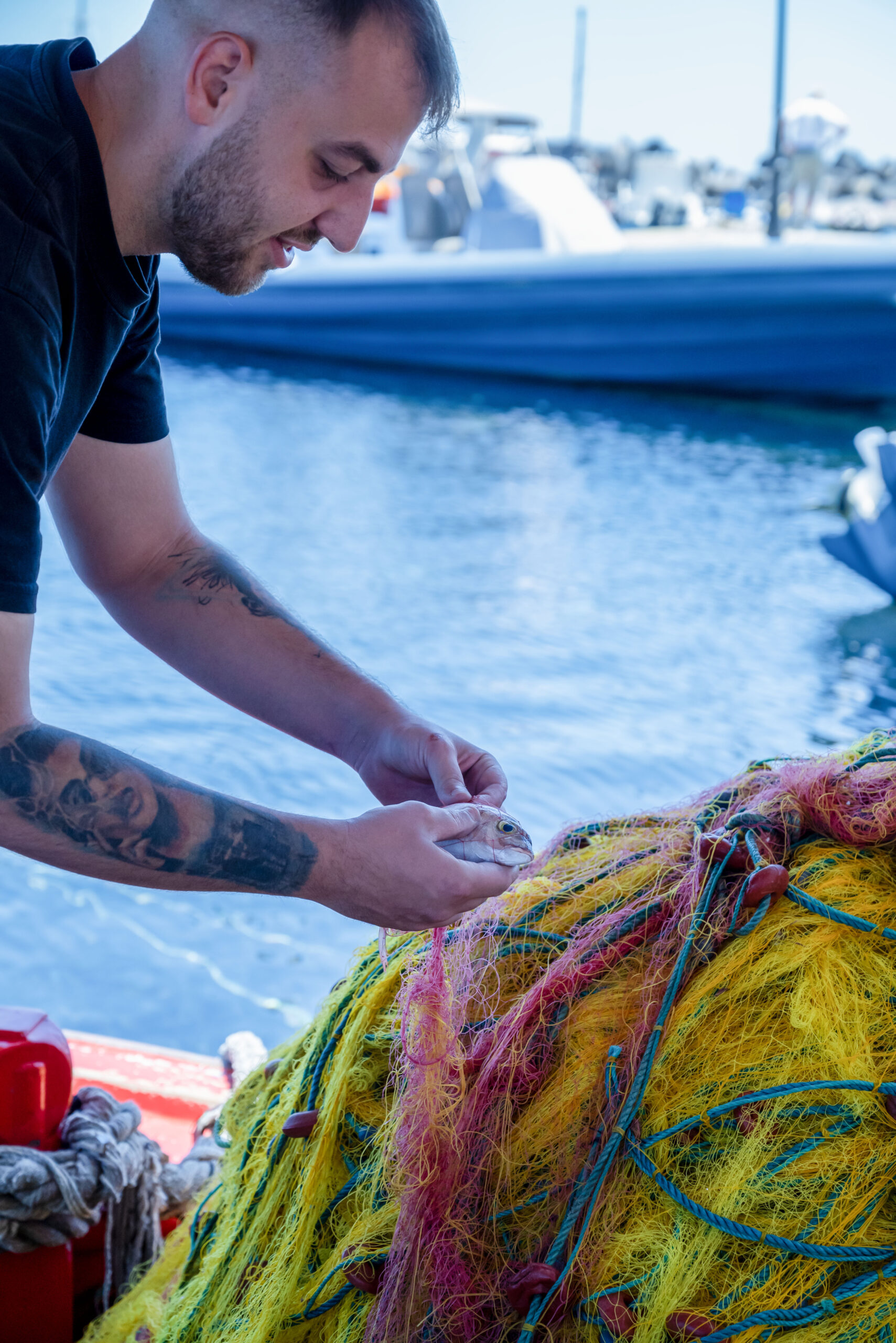 Oia Gefsis fresh catches