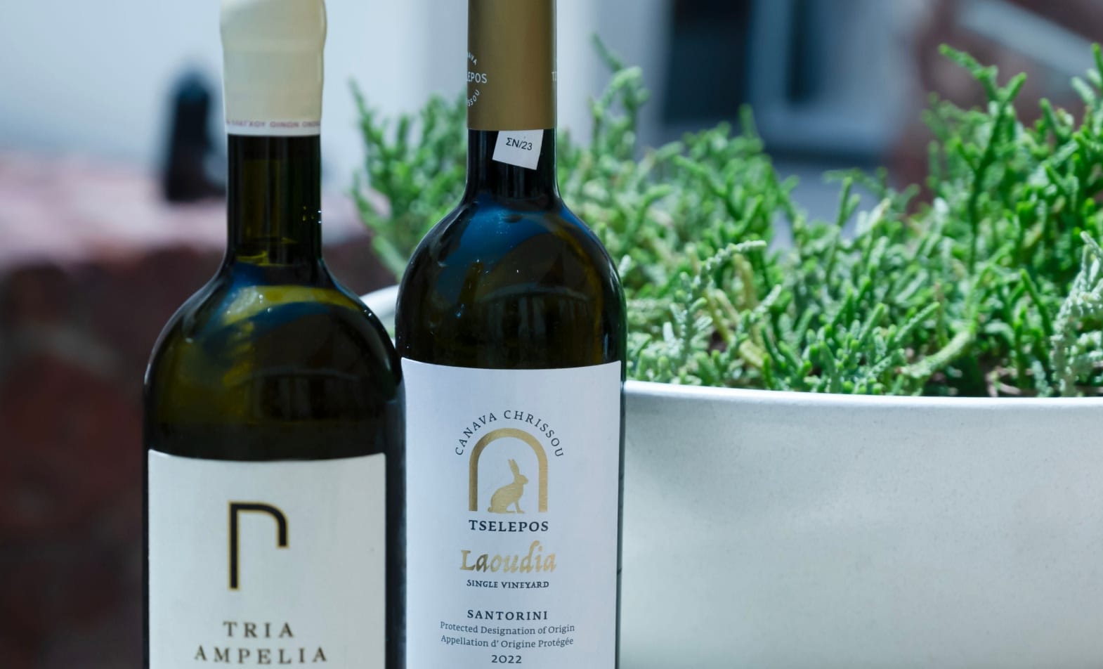 Greek Wine Bottle Display