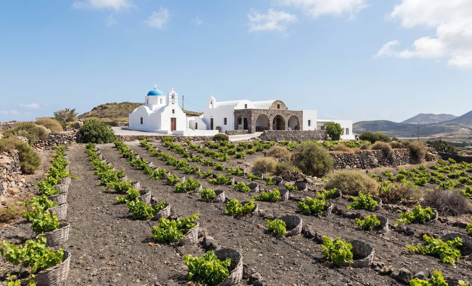 Traditional Santorini Vineyard Terraces